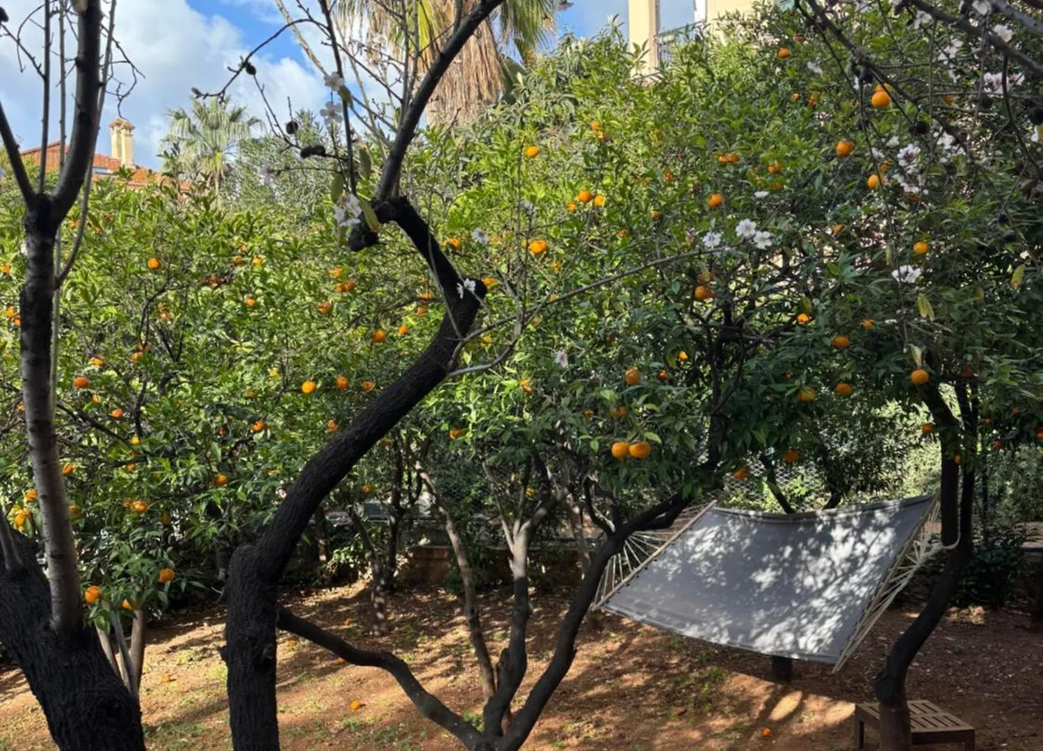 パレルモMatteotti Living And Gardenアパートメント パレルモ