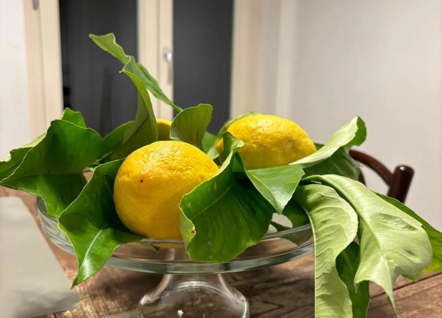 Matteotti Living And Garden Apartment Palermo